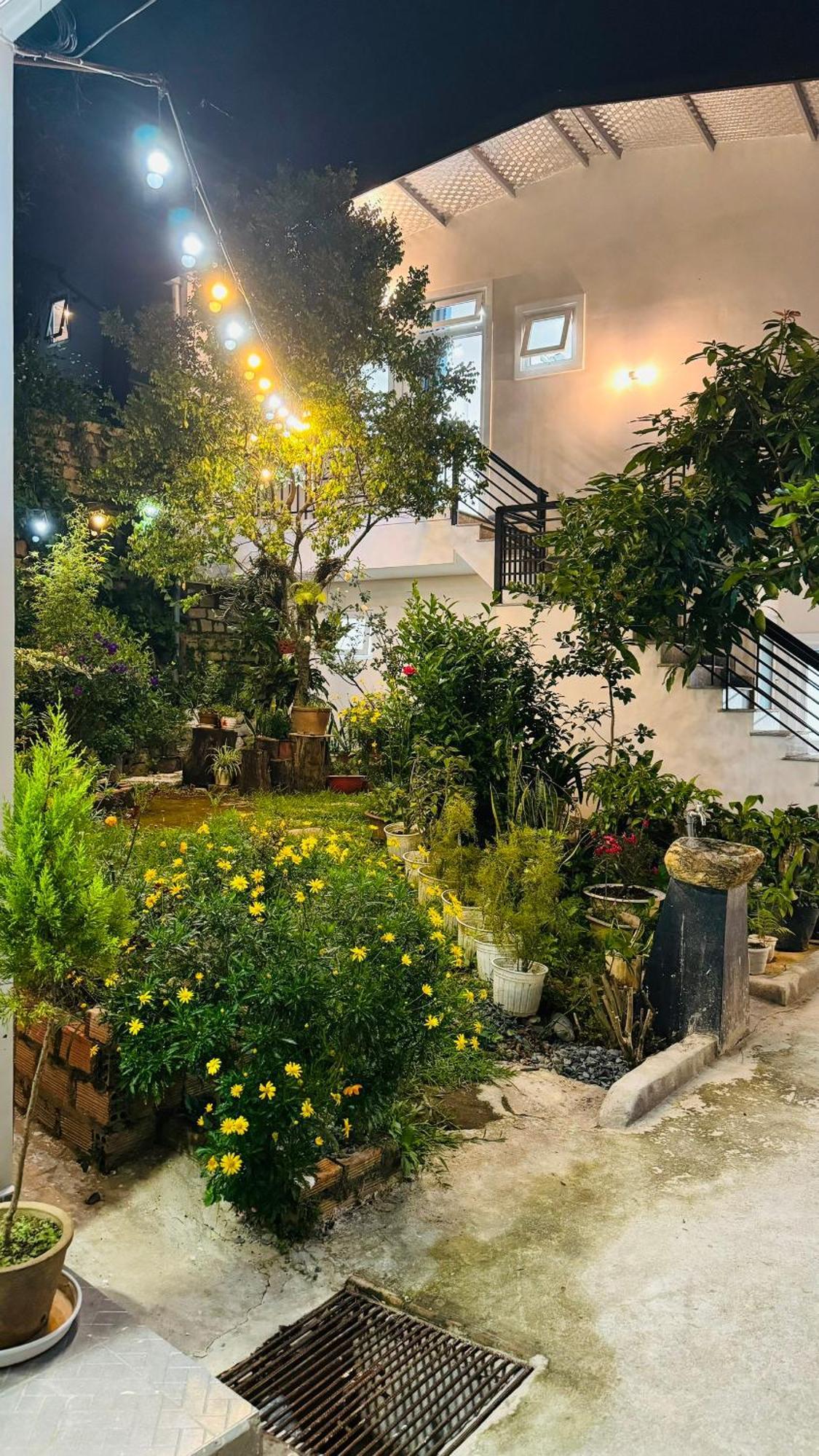 Nha Cua Soc Lägenhet Dalat Exteriör bild